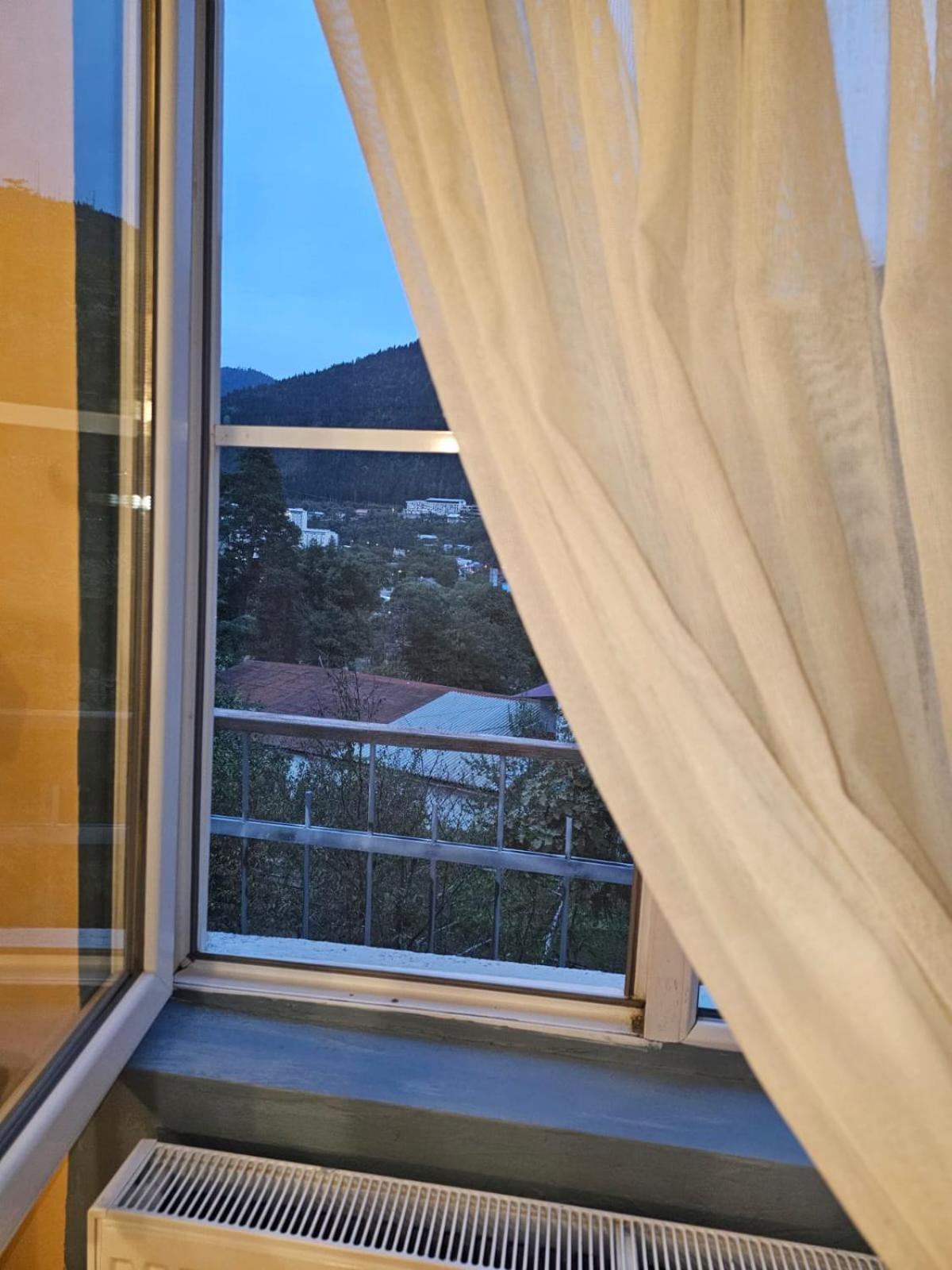 Guest House Likani 2017 Borjomi Room photo