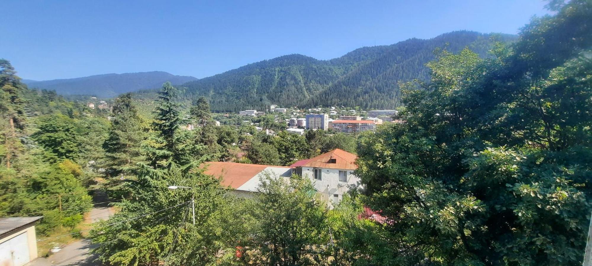 Guest House Likani 2017 Borjomi Room photo