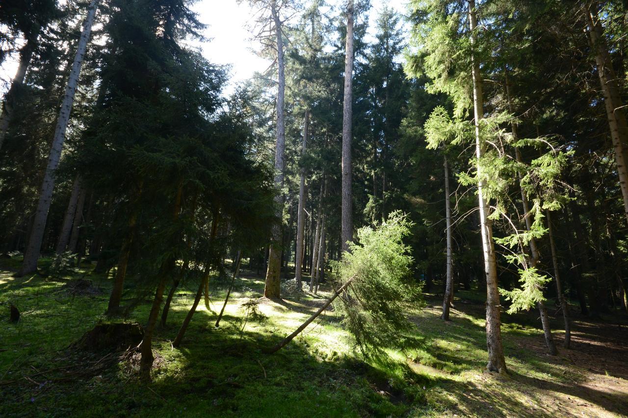 Guest House Likani 2017 Borjomi Exterior photo